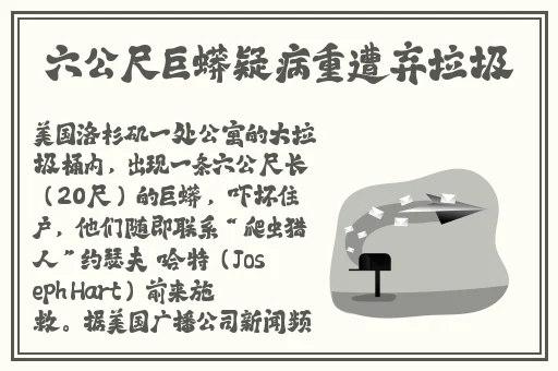 沈芯语奥澳门大象传媒